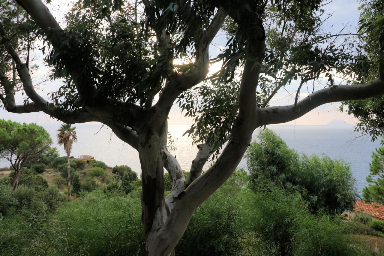 Case Di Berto Capo Vaticano Kültér fotó